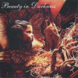 Various Artists - Beauty in Darkness cover art