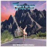 Freeroad - Do What You Feel! cover art