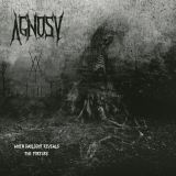 Agnosy - When Daylight Reveals the Torture cover art