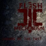 Flesh Mechanism - Chasms of the Past cover art