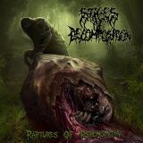 Stages of Decomposition - Raptures of Psychopathy cover art