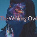 The Winking Owl - Into Another World cover art